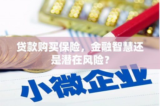 陵城贷款购买保险，金融智慧还是潜在风险？