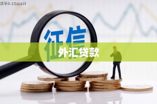 陵城外汇贷款