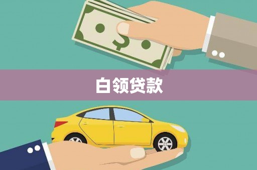 陵城白领贷款