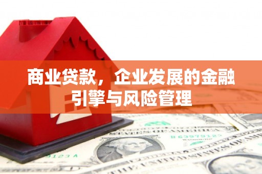 陵城商业贷款，企业发展的金融引擎与风险管理