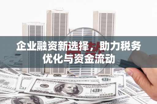 陵城企业融资新选择，助力税务优化与资金流动