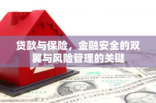 陵城贷款与保险，金融安全的双翼与风险管理的关键
