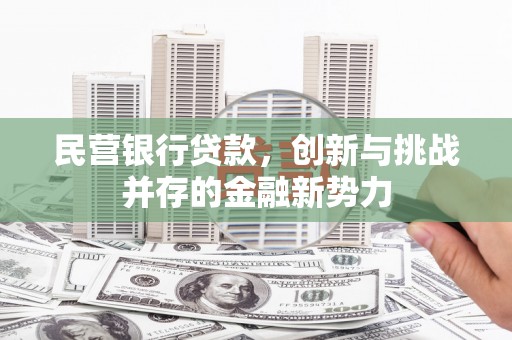 陵城民营银行贷款，创新与挑战并存的金融新势力