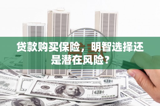 陵城贷款购买保险，明智选择还是潜在风险？