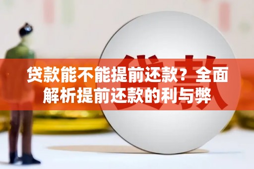 陵城贷款能不能提前还款？全面解析提前还款的利与弊