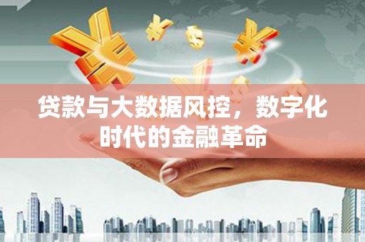 陵城贷款与大数据风控，数字化时代的金融革命
