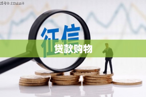陵城贷款购物