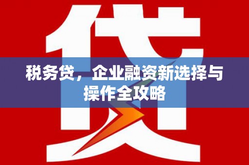 陵城税务贷，企业融资新选择与操作全攻略