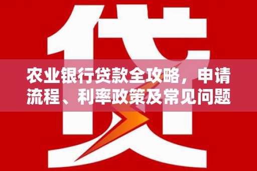 陵城农业银行贷款全攻略，申请流程、利率政策及常见问题解析