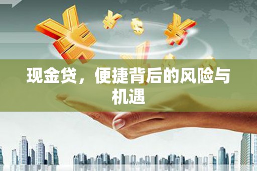 陵城现金贷，便捷背后的风险与机遇