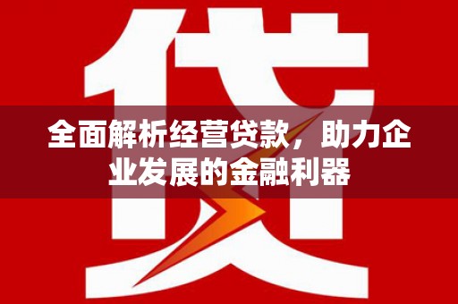 陵城全面解析经营贷款，助力企业发展的金融利器