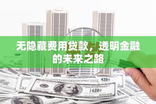 陵城无隐藏费用贷款，透明金融的未来之路