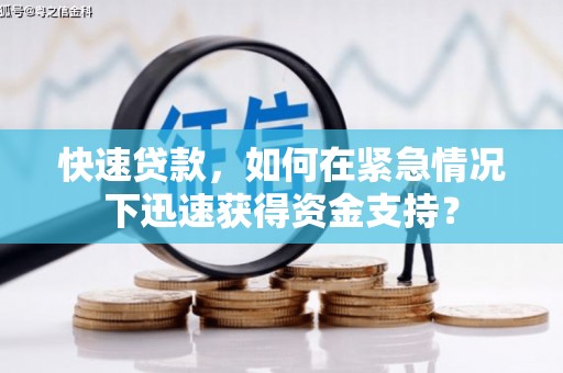 陵城快速贷款，如何在紧急情况下迅速获得资金支持？