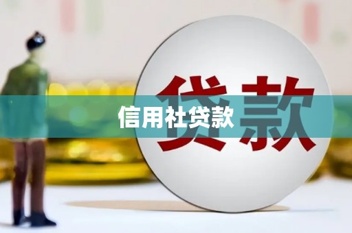 陵城信用社贷款