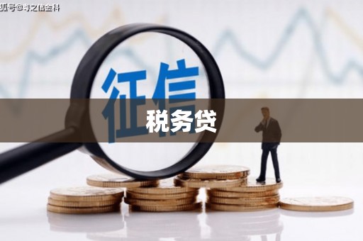 陵城税务贷