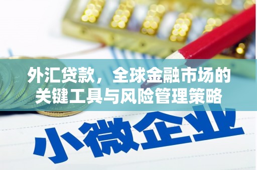 陵城外汇贷款，全球金融市场的关键工具与风险管理策略