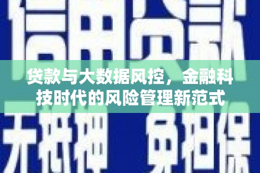 陵城贷款与大数据风控，金融科技时代的风险管理新范式
