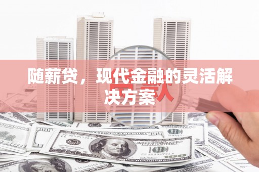 陵城随薪贷，现代金融的灵活解决方案