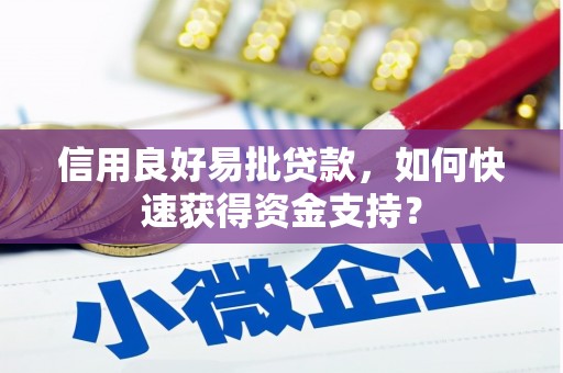 陵城信用良好易批贷款，如何快速获得资金支持？
