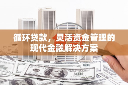 陵城循环贷款，灵活资金管理的现代金融解决方案