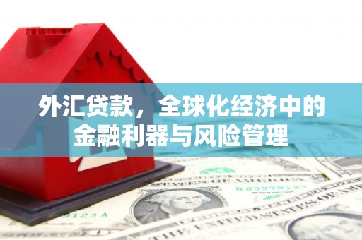 陵城外汇贷款，全球化经济中的金融利器与风险管理