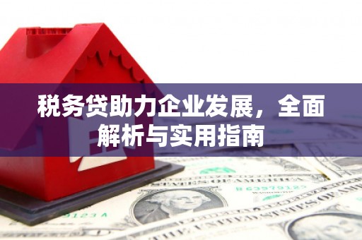 陵城税务贷助力企业发展，全面解析与实用指南