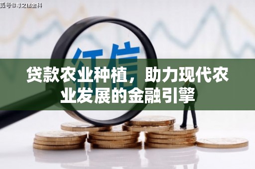 陵城贷款农业种植，助力现代农业发展的金融引擎