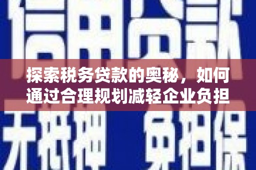 陵城探索税务贷款的奥秘，如何通过合理规划减轻企业负担