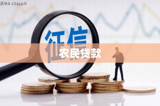 陵城农民贷款