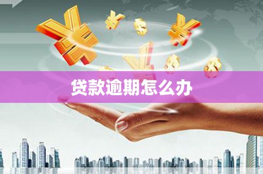 陵城贷款逾期怎么办