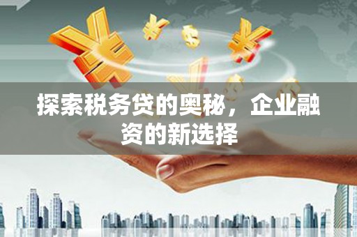 陵城探索税务贷的奥秘，企业融资的新选择