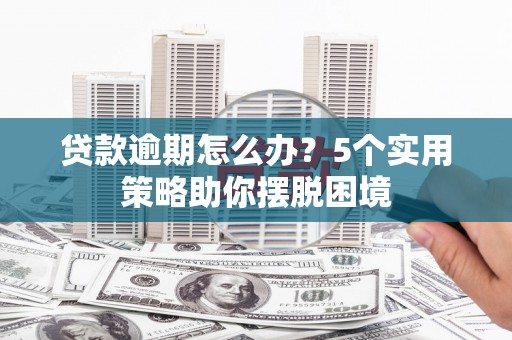 陵城贷款逾期怎么办？5个实用策略助你摆脱困境