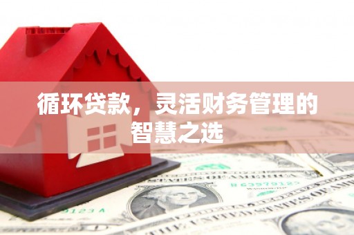 陵城循环贷款，灵活财务管理的智慧之选