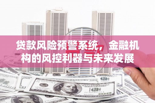 陵城贷款风险预警系统，金融机构的风控利器与未来发展