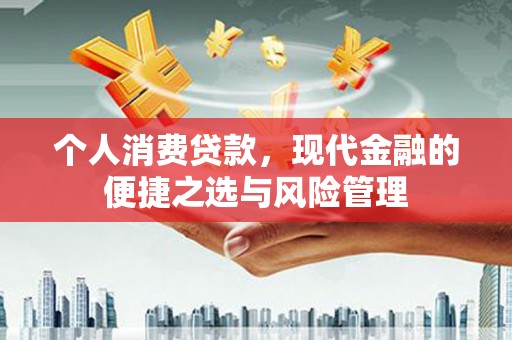 陵城个人消费贷款，现代金融的便捷之选与风险管理