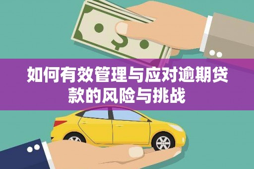 陵城如何有效管理与应对逾期贷款的风险与挑战