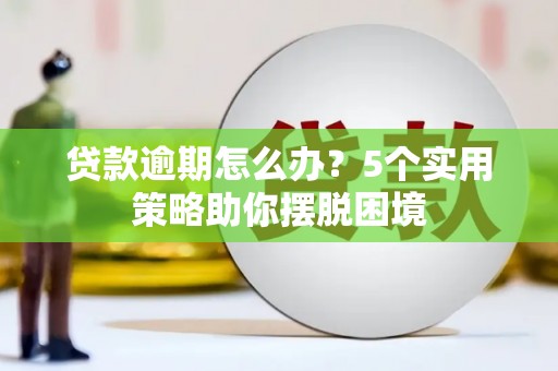 陵城贷款逾期怎么办？5个实用策略助你摆脱困境