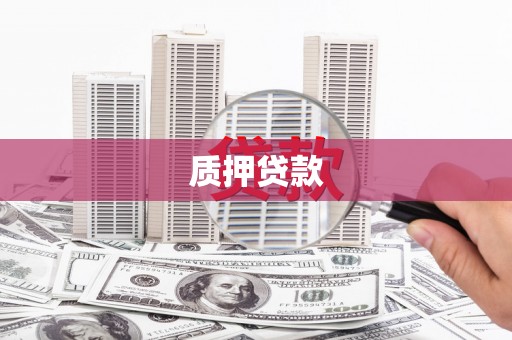 陵城质押贷款