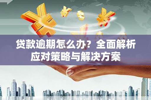 陵城贷款逾期怎么办？全面解析应对策略与解决方案