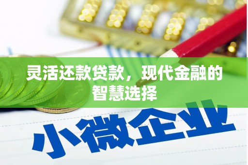 陵城灵活还款贷款，现代金融的智慧选择