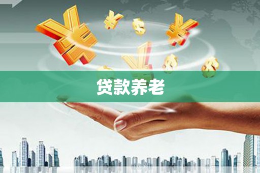 陵城贷款养老