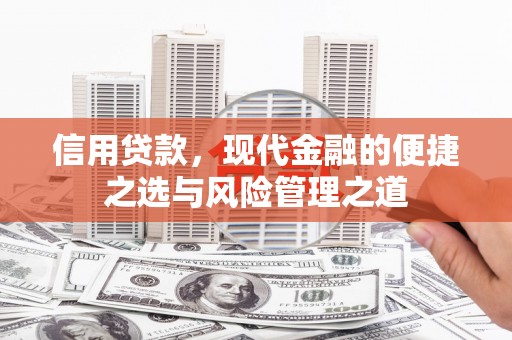 陵城信用贷款，现代金融的便捷之选与风险管理之道