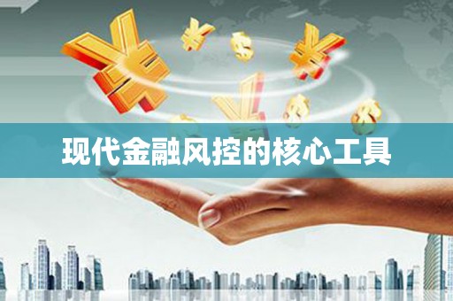 陵城现代金融风控的核心工具