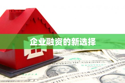 陵城企业融资的新选择
