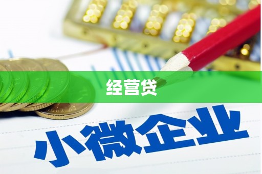 陵城经营贷