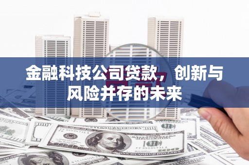 陵城金融科技公司贷款，创新与风险并存的未来