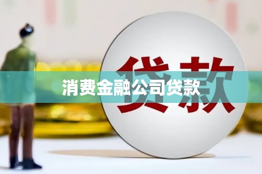 陵城消费金融公司贷款