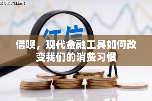 陵城借呗，现代金融工具如何改变我们的消费习惯
