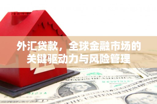 陵城外汇贷款，全球金融市场的关键驱动力与风险管理