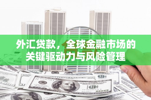 陵城外汇贷款，全球金融市场的关键驱动力与风险管理
